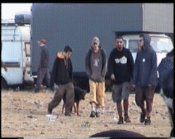 gif tekos