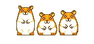 hamster